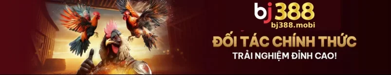 Tin Tức BJ388